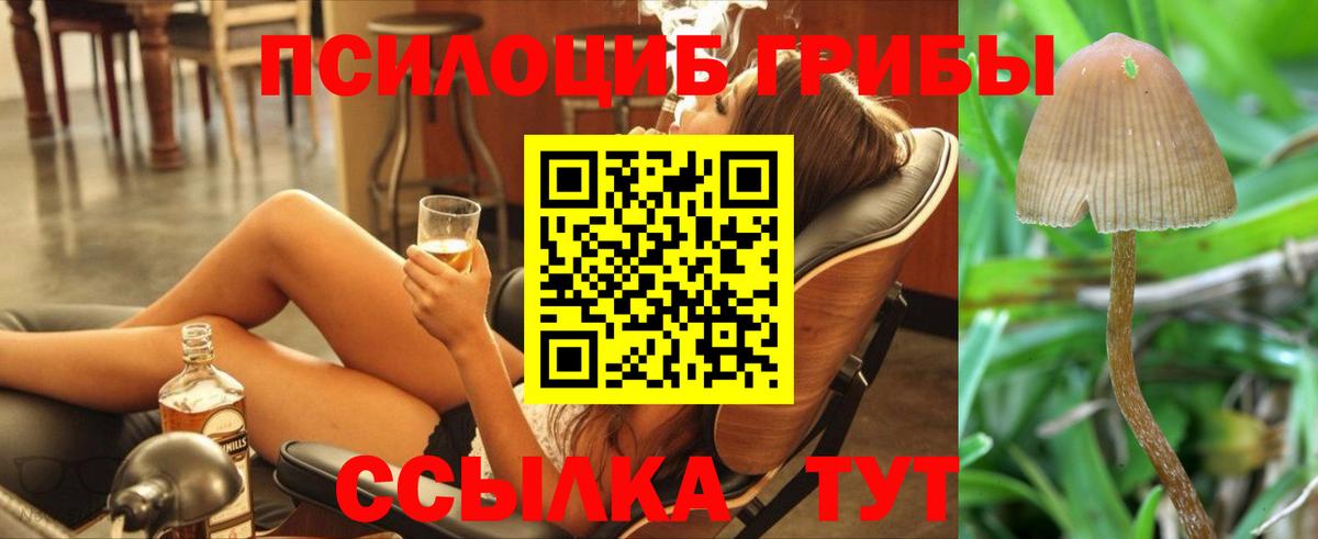 Барабинск  даркнет сайт  Галлюциногенные грибы MAGIC MUSHROOMS  Вход с VPN  Псилоцибиновые грибы Magic Shrooms 